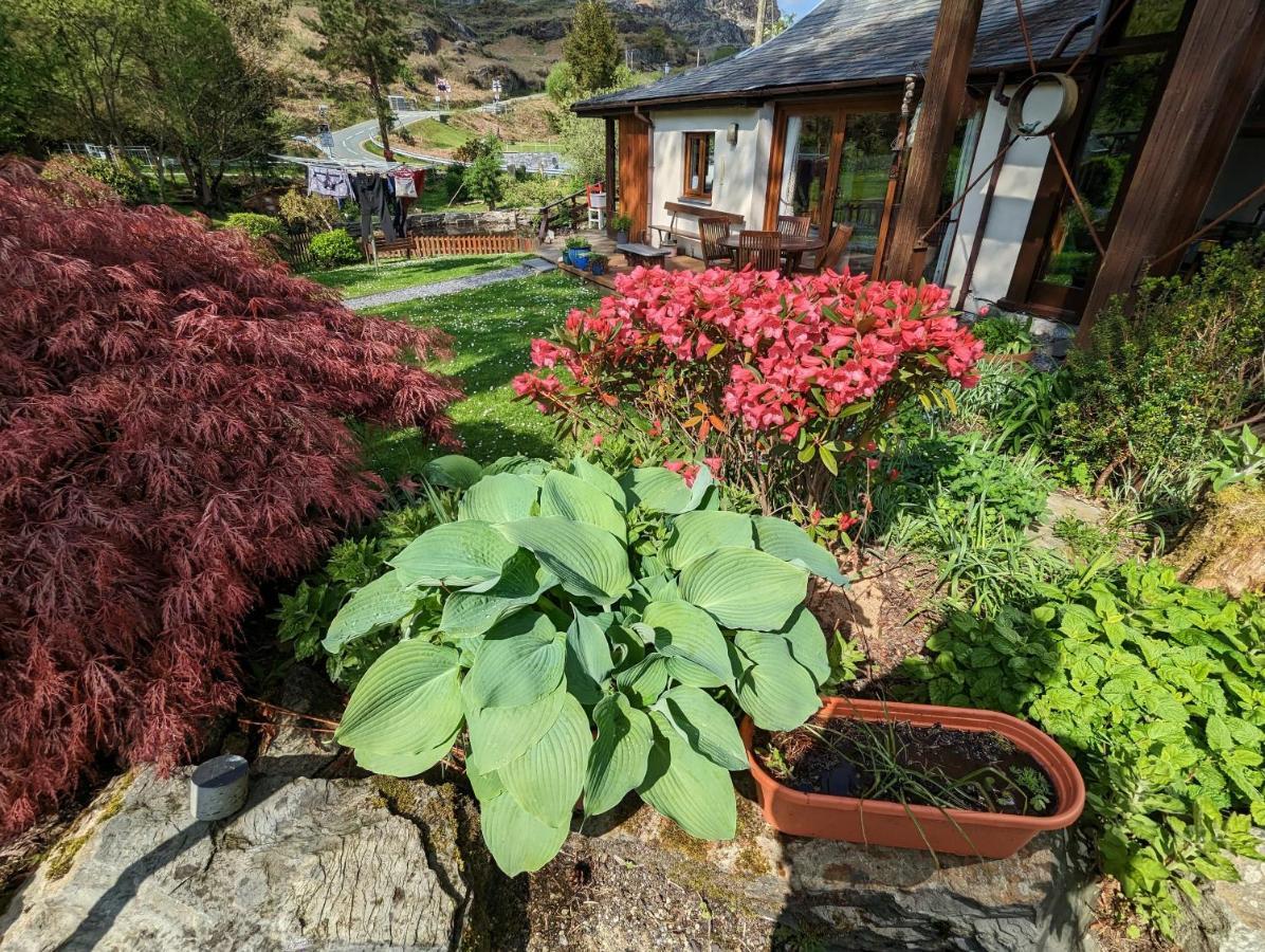 Bryn Elltyd Eco House Guest House Блайнай-Фестиньог Екстериор снимка