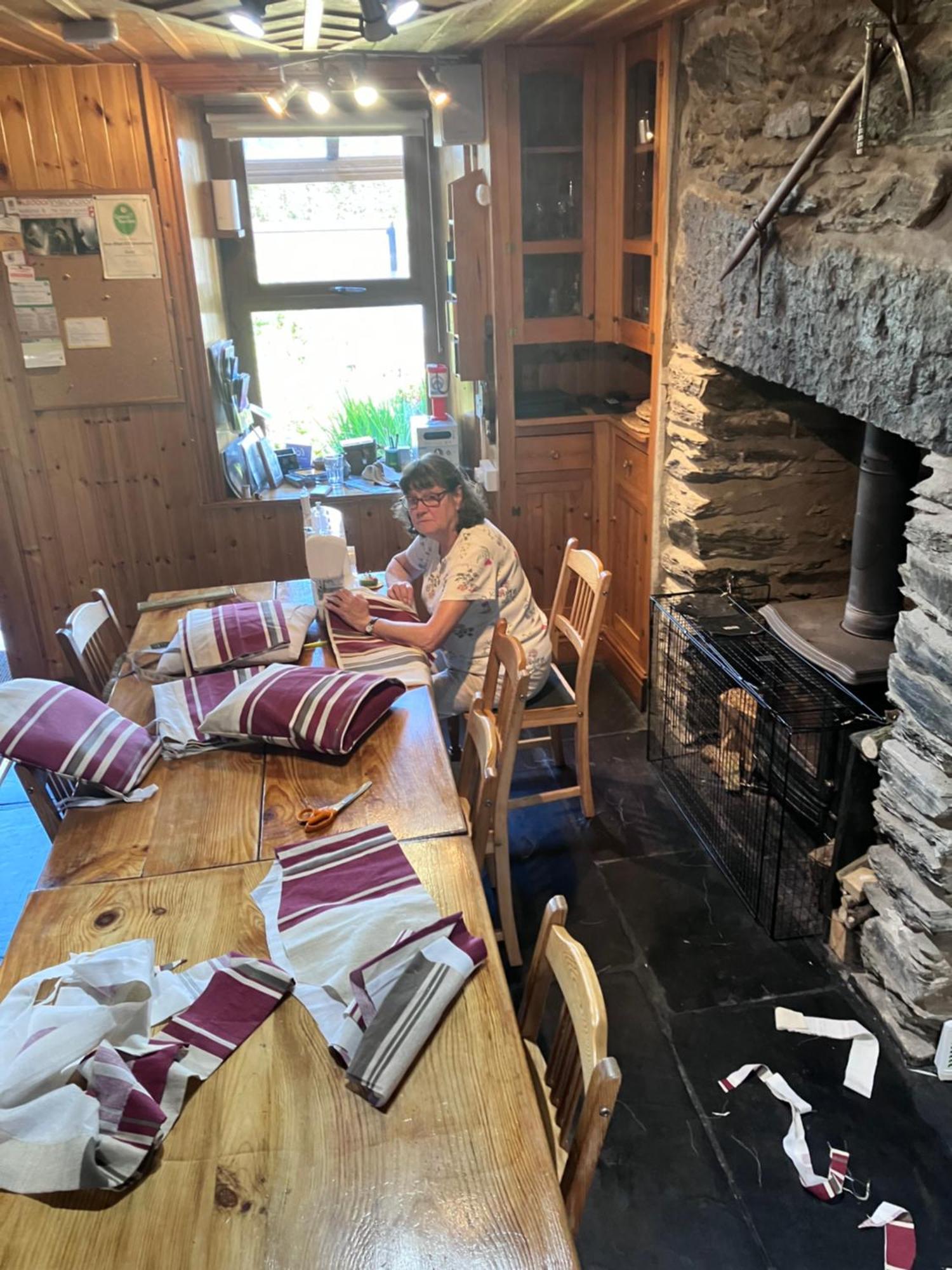 Bryn Elltyd Eco House Guest House Блайнай-Фестиньог Екстериор снимка