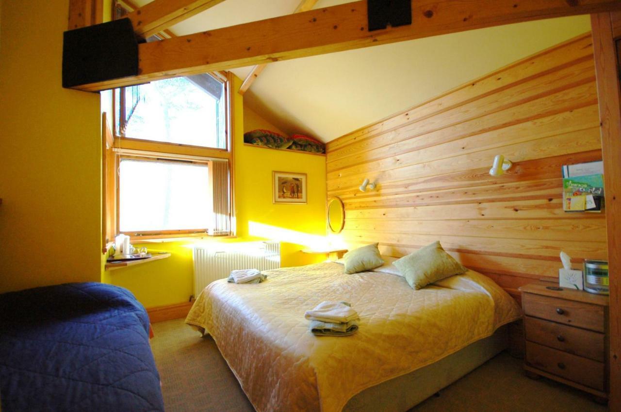 Bryn Elltyd Eco House Guest House Блайнай-Фестиньог Екстериор снимка